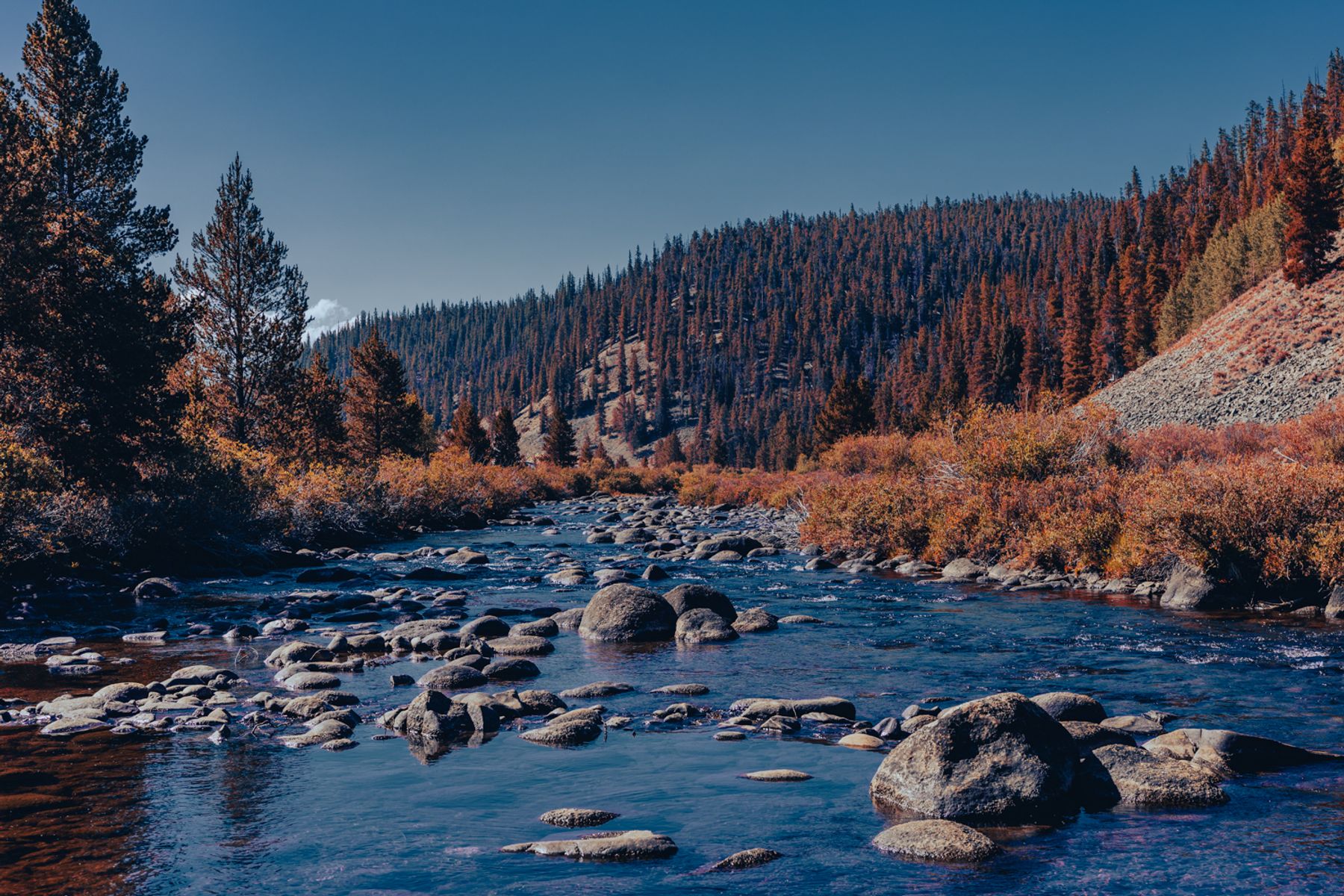 Dinner Station River WIDE 1